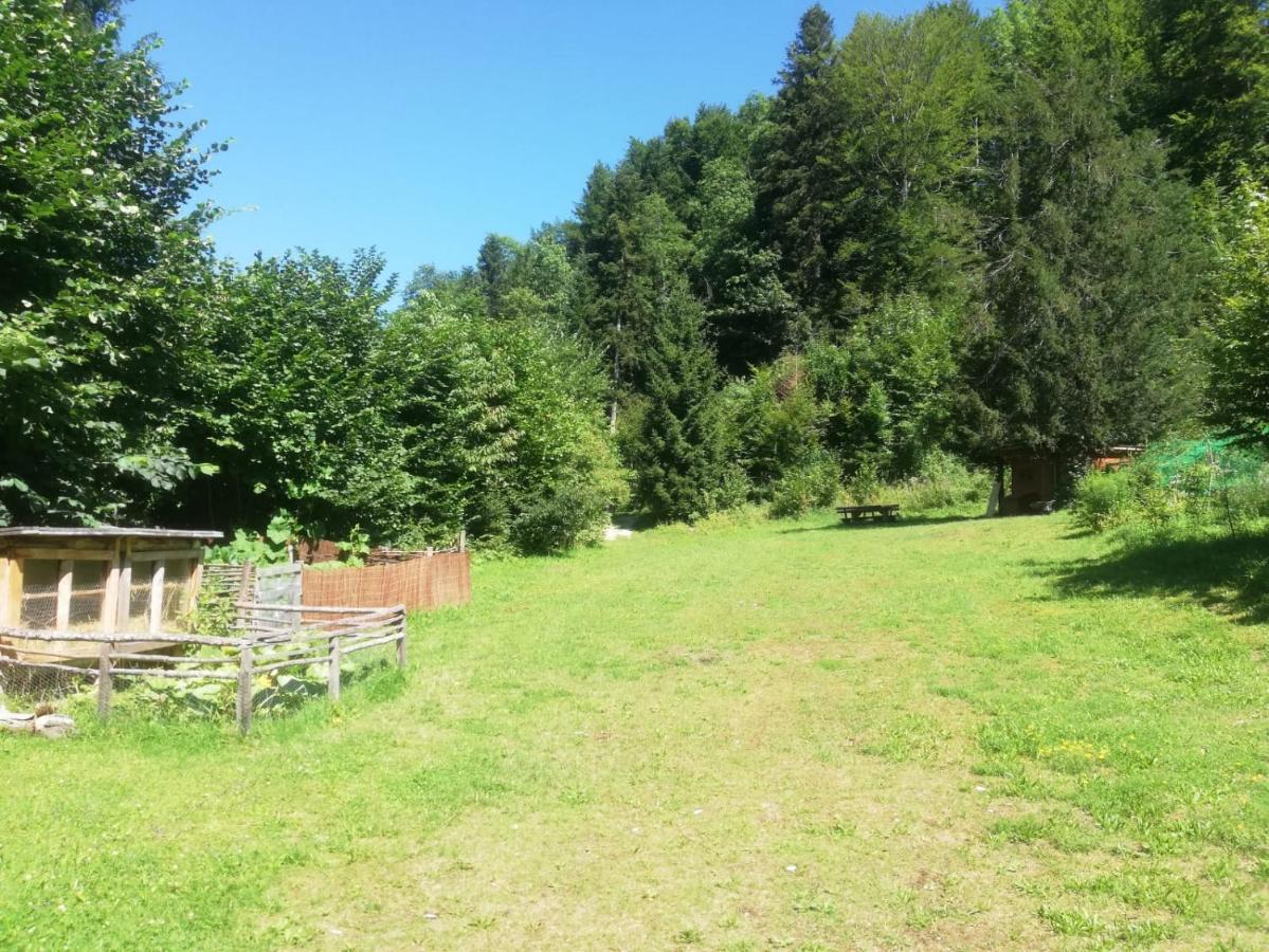 Gasthof Elisabeth Bad Aussee Kültér fotó